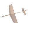 Wooden Catapult Launched Glider Plane